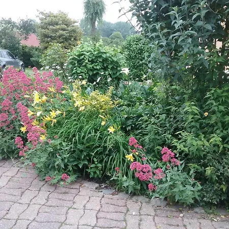 Le Bel Isle * Echinghen